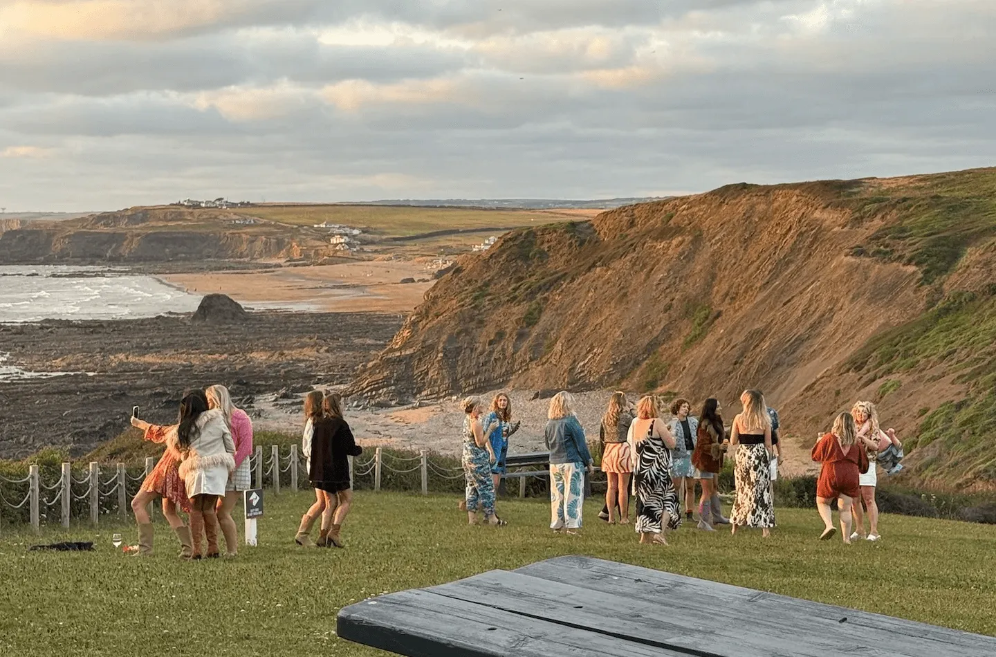 hen group in the sunshine in the grounds of OA Surf Club, widemouth Bay in the background